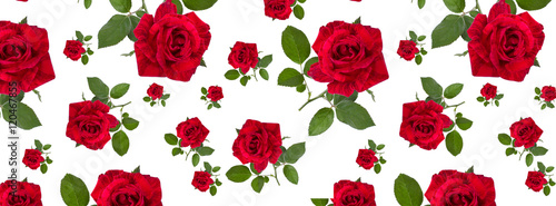 web cover pattern red rose on a stalk of green leaves