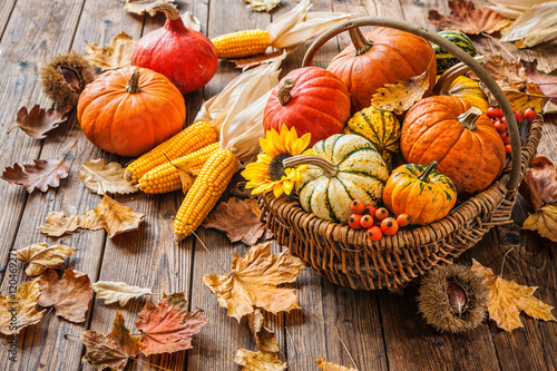 jesien-martwa-natura-z-dyni-corncobs-i-lisci