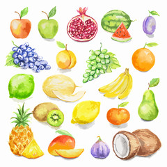 Wall Mural - Watercolor fruit set. Juicy and colorful tropical fruit on white background including apples, mango, plum, coconut, lime and more. Vegetarian diet food with vitamins.