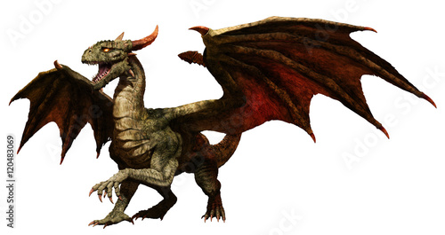 Green dragon Fototapeta