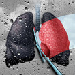 Lung Health Therapy