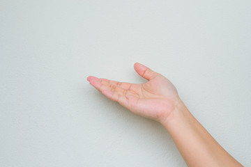 female hand on the white background