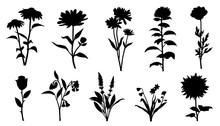 Flower Silhouettes