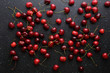 Red cherry on black background