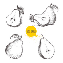 Set Of Hand Drawn Sketch Style Pears. Sliced Ripe Pears. Vintage Organic Food Illustration.