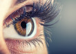 Leinwandbild Motiv Close-up of woman's eye. macro beautiful female eye.
