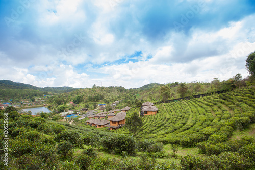 Ban Rak Thai The Tea Farm And Resort Mae Hong Son - 
