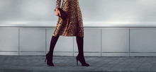 Street Fashion Concept - Stylish Elegant Woman In Leopard Dress