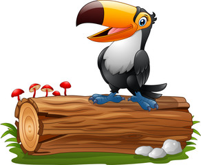 Wall Mural - Cartoon funny toucan standing on tree log