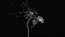 Smoke On Black Background In Slow Motion; Shot On Phantom Flex 4K At 1000 Fps