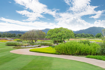 flower garden In Chiang Rai