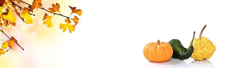 Wall Mural - autumnal header with ginkgo biloba yellow leaves and decorative pumpkins