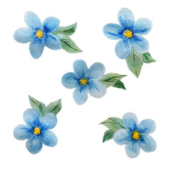 Wall Mural - simple blue decorative flower with leaves watercolor illustration