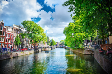 Wall Mural - canal in amsterdam