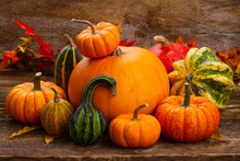 Green Pumpkins Background Free Stock Photo - Public Domain Pictures