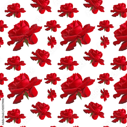 pattern repeat  red rose