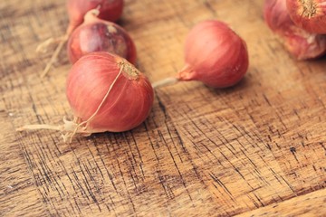 Shallot