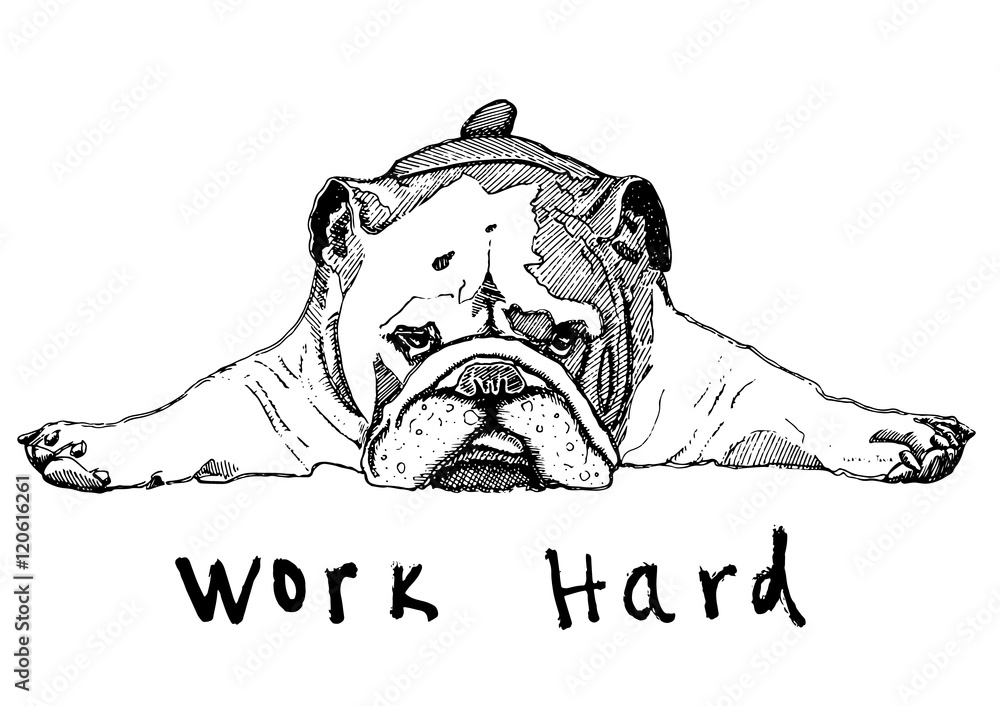 Dog working hard - obrazy, fototapety, plakaty 