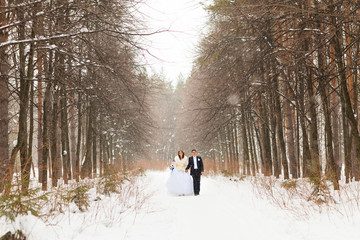 Wall Mural - wedding couple at the winter day