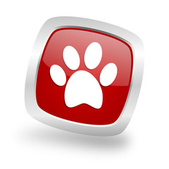 Poster - foot square red glossy chrome silver metallic web icon