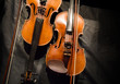 Violin musical instrument on black background