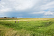 Field in North Dakota on a summer day