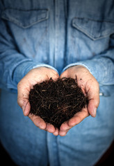 Wall Mural - Dirt and Hands