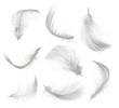 © chones - Collection of white feather isolated on white background