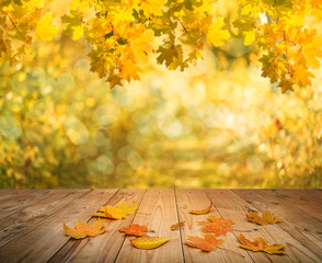 Wall Mural - autumn background