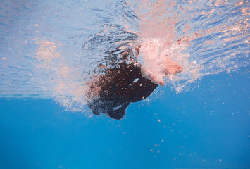  businessman swimming underwater