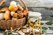 Autumnal mushrooms preserves, dry mushroom and  boletus marinate