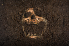 Skull Buried In The Ground