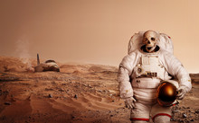 Halloween Concept. Zombies On Mars. Elements Of This Image Furnished By NASA.