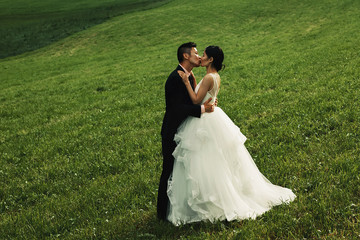 Wall Mural - asian newlyweds in italy