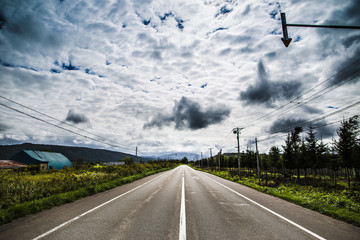 Wall Mural - 道路と曇り空