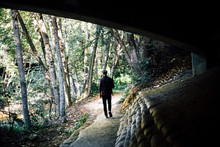 Silhouetted Rear View Of Man Walking In Forest, Big Sur, California, USA