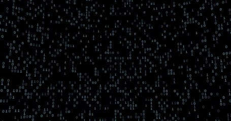 Wall Mural - binary data grid / 3d animation of binary data cloud