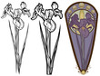 iris  flower art nouveau style design set