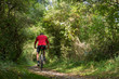 © Image'in - vtt dans les bois verts