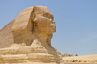 Sphinx in Giza Pyramids - Cairo, Egypt
