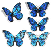 Set Blue Butterflies Morpho