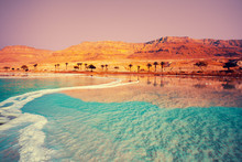 Dead Sea Seashore With Palm Trees And Mountains On Background