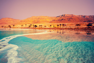 Fototapete - Dead Sea seashore with palm trees and mountains on background
