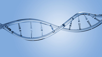Wall Mural - 3d illustration of glass model of dna molecule.