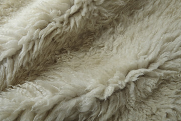 Poster - A full page of fluffy white sheepskin background texture