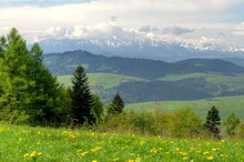 Spring Mountain Landscape. Green Meadow With Flowers And High Mountain Peaks.
