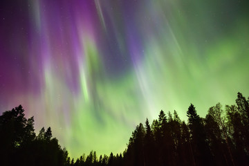 Wall Mural - Northern lights (Aurora borealis) in the sky