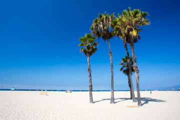 Poster - santa monica beach scene