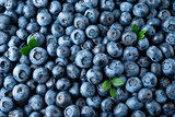 Blueberry. Fresh organic berries macro. Fruit background