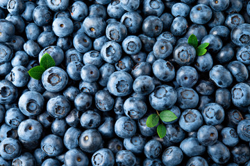 blueberry. fresh organic berries macro. fruit background